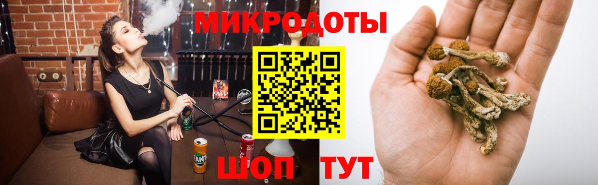 Верхний Уфалей  Галлюциногенные грибы Psilocybe  Вход с VPN 